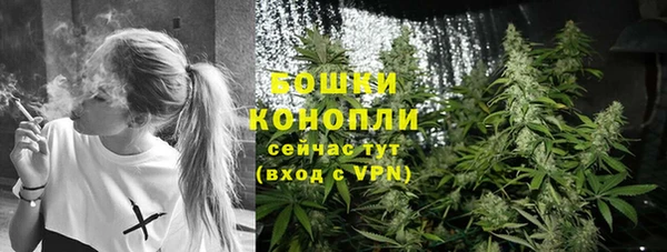 ECSTASY Каменка