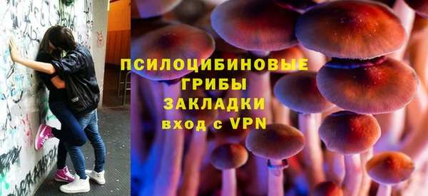 амфетамин Каменногорск