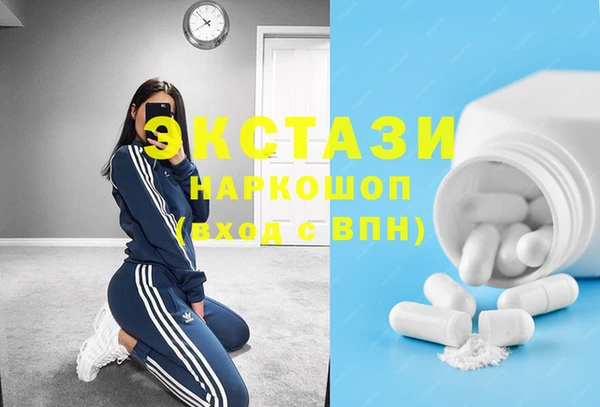 ECSTASY Каменка