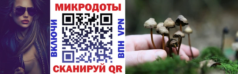 Купить где  Вуктыл  Галлюциногенные грибы Psilocybe 